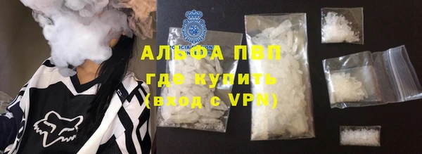 хмурый Алексин