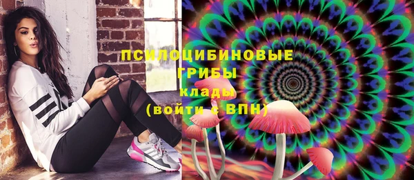 хмурый Алексин