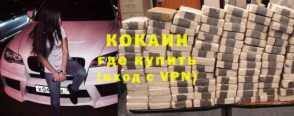 хмурый Алексин