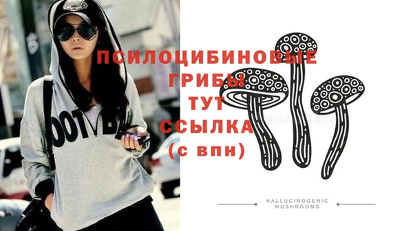 хмурый Алексин