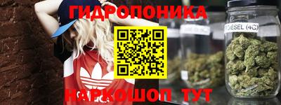 хмурый Долгопрудный